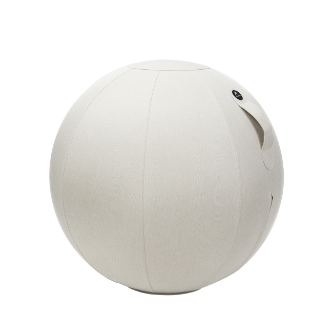 Ballon ergonomique Ergo Ball